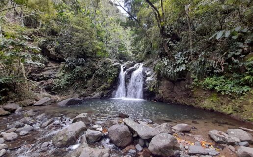 activité randonnée cascade martinique