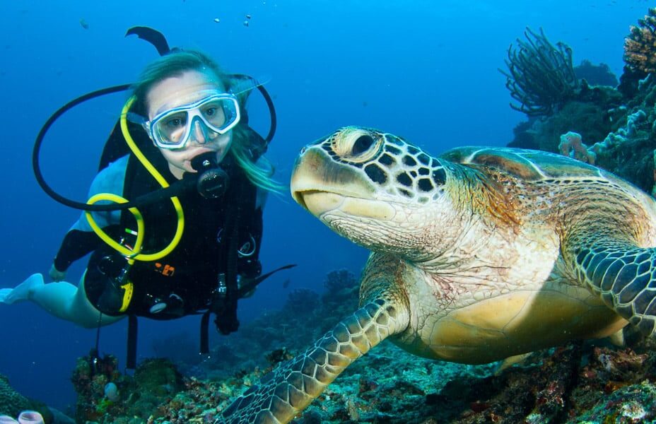 plongé sous marine club martinique